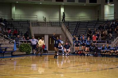 DvByrnes Seniors 225